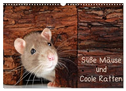 Süße Mäuse und Coole Ratten / CH-Version (Wandkalender 2024 DIN A3 quer), CALVENDO Monatskalender