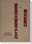 Mesoamerican Modern