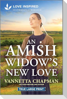 An Amish Widow's New Love