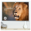 Emotionale Momente: Löwenleben (hochwertiger Premium Wandkalender 2024 DIN A2 quer), Kunstdruck in Hochglanz