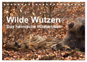 Wilde Wutzen. Das heimische Wildschwein (Tischkalender 2025 DIN A5 quer), CALVENDO Monatskalender