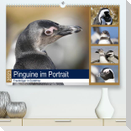 Pinguine im Portrait - Frackträger in Südafrika (Premium, hochwertiger DIN A2 Wandkalender 2023, Kunstdruck in Hochglanz)