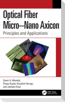 Optical Fiber Micro-Nano Axicon
