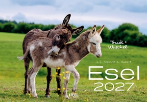 Klein, J. -L. Hubert. Esel Kalender 2027 - Der Tierkalender mit den charmanten Namen Wandkalender. Edition Lempertz, 2026.