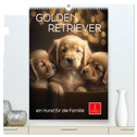 Golden Retriever - ein Hund für die Familie (hochwertiger Premium Wandkalender 2025 DIN A2 hoch), Kunstdruck in Hochglanz