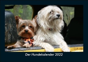 Tobias Becker. Der Hundekalender 2022 Fotokalender DIN A5 - Monatskalender mit Bild-Motiven von Haustieren, Bauernhof, wilden Tieren und Raubtieren. Vero Kalender, 2021.