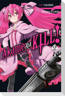Akame Ga Kill!, Volume 2