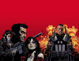 Palmiotti, Jimmy. Marvel Knights - Punisher. Turnaround Pub. Serv. Ltd, 2026.