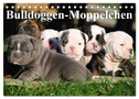 Bulldoggen-Moppelchen (Tischkalender 2024 DIN A5 quer), CALVENDO Monatskalender