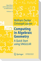 Computing in Algebraic Geometry