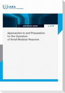 Approaches to and Preparation for the Operation of Small Modular Reactors