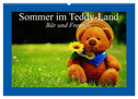 Sommer im Teddy-Land. Bär und Freunde (Wandkalender 2025 DIN A2 quer), CALVENDO Monatskalender