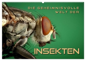 Bleicher, Renate. Die geheimnisvolle Welt der Insekten (Wandkalender 2024 DIN A2 quer), CALVENDO Monatskalender - Faszinierende Nahaufnahmen von verschiedenen Insekten. Calvendo Verlag, 2023.