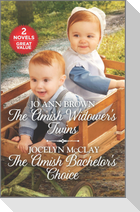 The Amish Widower's Twins and the Amish Bachelor's Choice