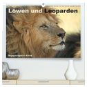 Löwen und Leoparden - Begegnungen in Afrika (hochwertiger Premium Wandkalender 2025 DIN A2 quer), Kunstdruck in Hochglanz