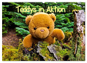 Teddys in Aktion (Wandkalender 2024 DIN A2 quer), CALVENDO Monatskalender