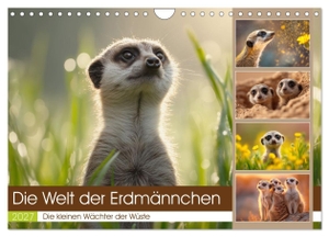 Gierok-Latniak, Steffen. Die Welt der Erdmännchen (Wandkalender 2027 DIN A4 quer), CALVENDO Monatskalender - Dieser liebevoll gestaltete Wandkalender begleitet dich durch das Jahr mit 12 herzerwärmenden, lustigen und manchmal herrlich tollpatschigen Momenten der wohl neugierigsten Tiere der Wüste.. Calvendo, 2026.