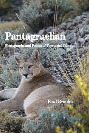 Brooke. Pantagruelian - Photographs and Poems of Torres del Paine. Gold Wake Press Collective, 2024.
