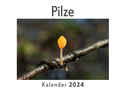 Pilze (Wandkalender 2024, Kalender DIN A4 quer, Monatskalender im Querformat mit Kalendarium, Das perfekte Geschenk)