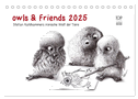 owls & friends 2025 (Tischkalender 2025 DIN A5 quer), CALVENDO Monatskalender