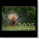 Faszination Natur Kalender 2025