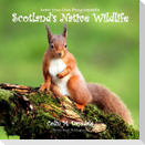 Draw Your Own Encyclopaedia Scotland's Native Wildlife