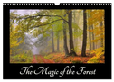 The Magic of the Forest (Wall Calendar 2025 DIN A3 landscape), CALVENDO 12 Month Wall Calendar