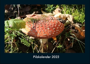 Tobias Becker. Pilzkalender 2023 Fotokalender DIN A4 - Monatskalender mit Bild-Motiven aus Fauna und Flora, Natur, Blumen und Pflanzen. Vero Kalender, 2022.