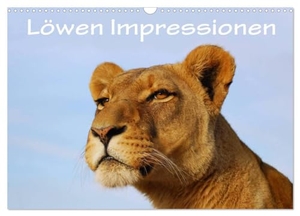 Wyk, Anke van. Löwen Impressionen (Wandkalender 2025 DIN A3 quer), CALVENDO Monatskalender - Freilebende wilde Löwen in Südafrika. Calvendo, 2024.