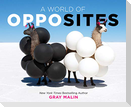 A World of Opposites