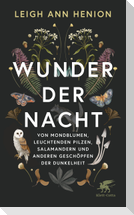 Wunder der Nacht