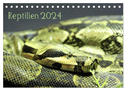 Reptilien 2024 (Tischkalender 2024 DIN A5 quer), CALVENDO Monatskalender