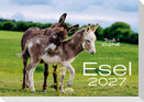 Esel Kalender 2027