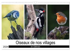 Denis, Michel. Oiseaux de nos villages en Gâtinais (Calendrier mural 2024 DIN A3 vertical), CALVENDO calendrier mensuel - Photographies d'oiseaux que l'on peut voir en France. Calvendo, 2023.