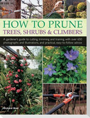 How to Prune Trees, Shrubs & Climbers