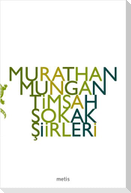 Timsah Sokak Siirleri