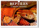 Reptiles Colorful beauties (Wall Calendar 2025 DIN A4 landscape), CALVENDO 12 Month Wall Calendar