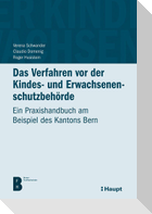 Das Verfahren vor der Kindes- und Erwachsenenschutzbehörde
