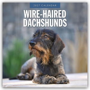 Red, Robin. Wire-Haired Dachshunds - Rauhaardackel 2027 - 16-Monatskalender - Original Red Robin Publishing Ltd-Kalender [Mehrsprachig] [Kalender]. Browntrout Verlags GmbH, 2026.