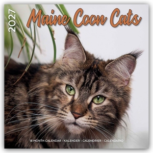Plenty Gifts. Maine Coon Cats - Main Coon Katzen 2027 - 18-Monatskalender - Original Plenty Gifts-Kalender [Mehrsprachig] [Kalender] - Original Plenty Gifts-Kalender [Mehrsprachig] [Kalender]. Flechsig Verlag, 2026.