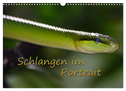 Schlangen im Portrait (Wandkalender 2024 DIN A3 quer), CALVENDO Monatskalender