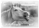 Emotionale Momente: Weiße Pferde in schwarzweiß. (Wandkalender 2024 DIN A2 quer), CALVENDO Monatskalender