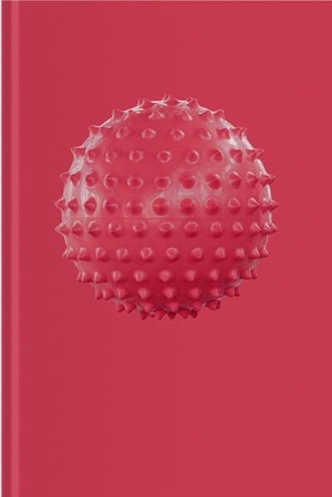 Häusle, Thomas / Hirsch, Sophie et al. Sophie Hirsch - Child's Play. VfmK, 2026.