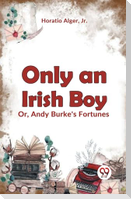 Only an Irish Boy Or, Andy Burke's Fortunes