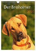 Der Broholmer (Wandkalender 2025 DIN A4 hoch), CALVENDO Monatskalender