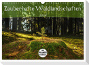 Zauberhafte Waldlandschaften (Wandkalender 2024 DIN A3 quer), CALVENDO Monatskalender
