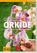 Orkide