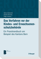 Das Verfahren vor der Kindes- und Erwachsenenschutzbehörde