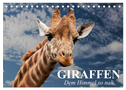 Giraffen. Dem Himmel so nah (Tischkalender 2024 DIN A5 quer), CALVENDO Monatskalender