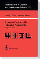 Dynamical Systems with Saturation Nonlinearities